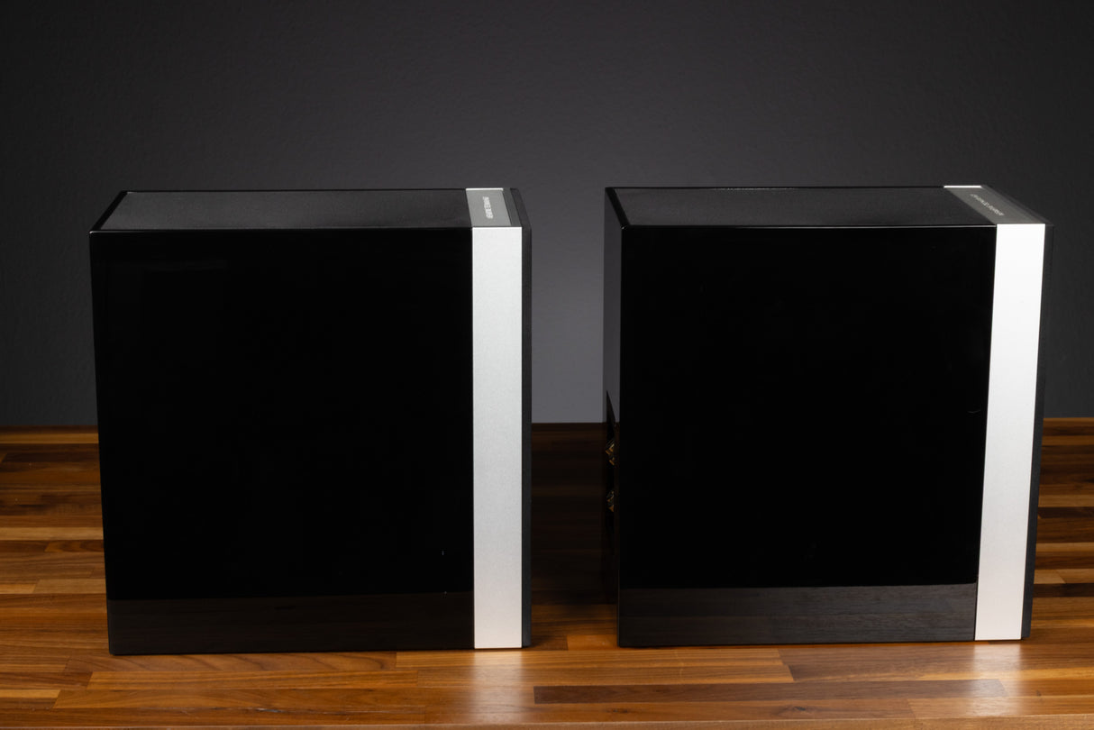 Definitive Technology Demand D11 Kompaktlautsprecher (Gebraucht)