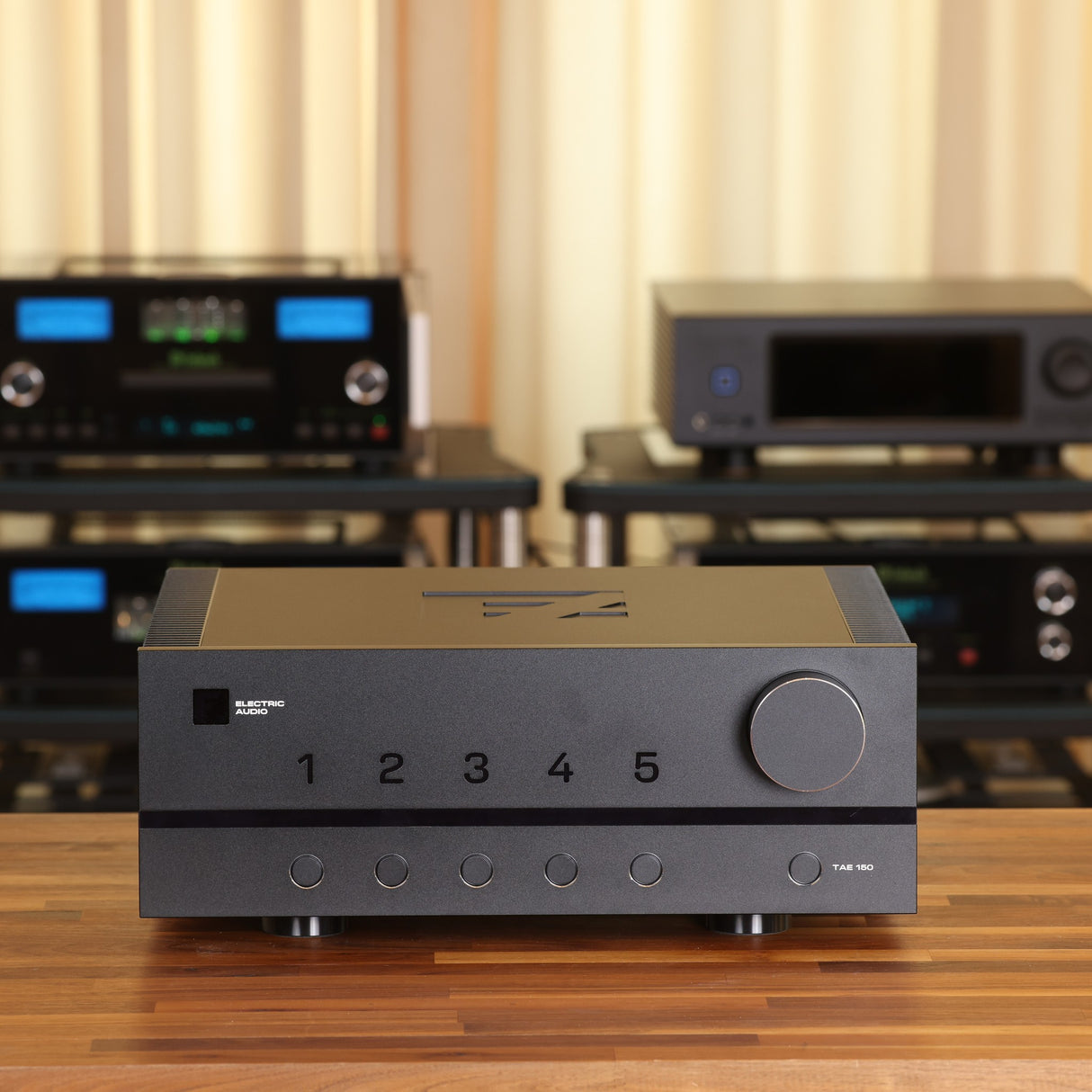 EA ElectricAudio TAE150DV Vollverstärker (Gebraucht)