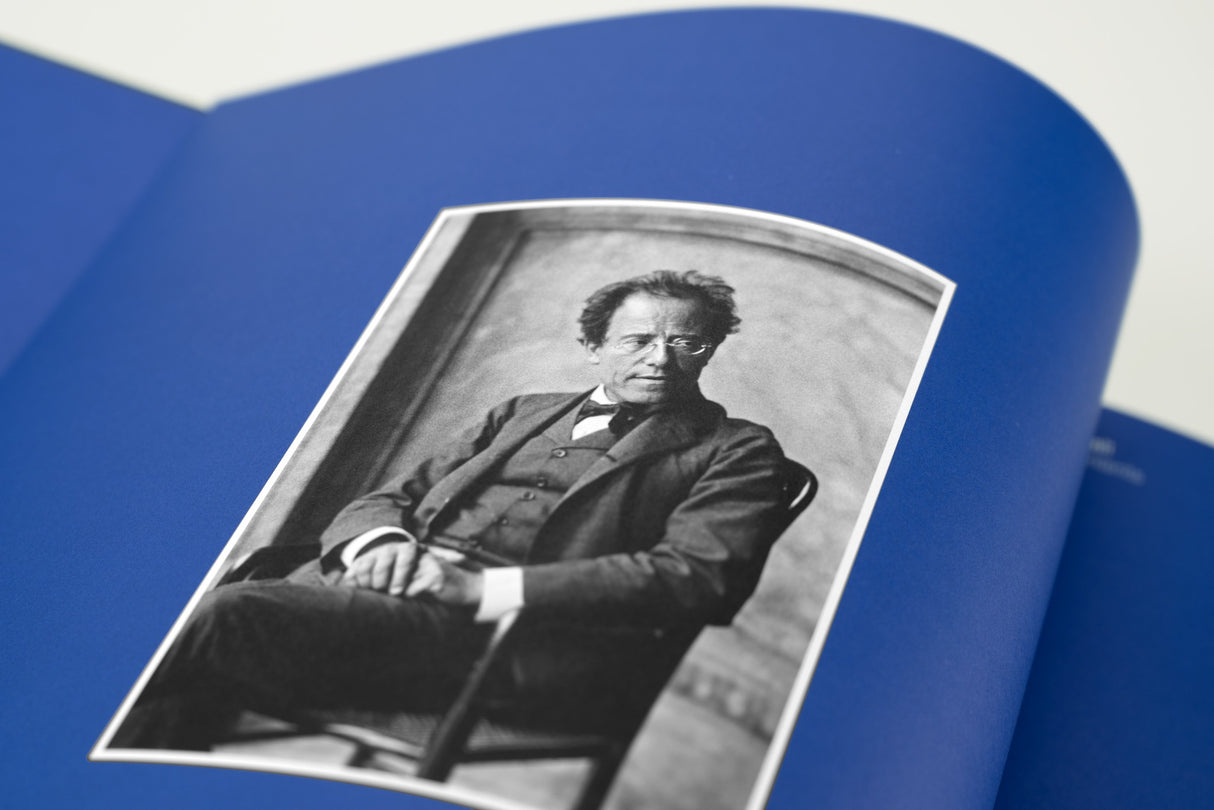 Gustav Mahler, Berliner Philharmoniker - Symphonien 1-10 (180g Vinyl Box Set)