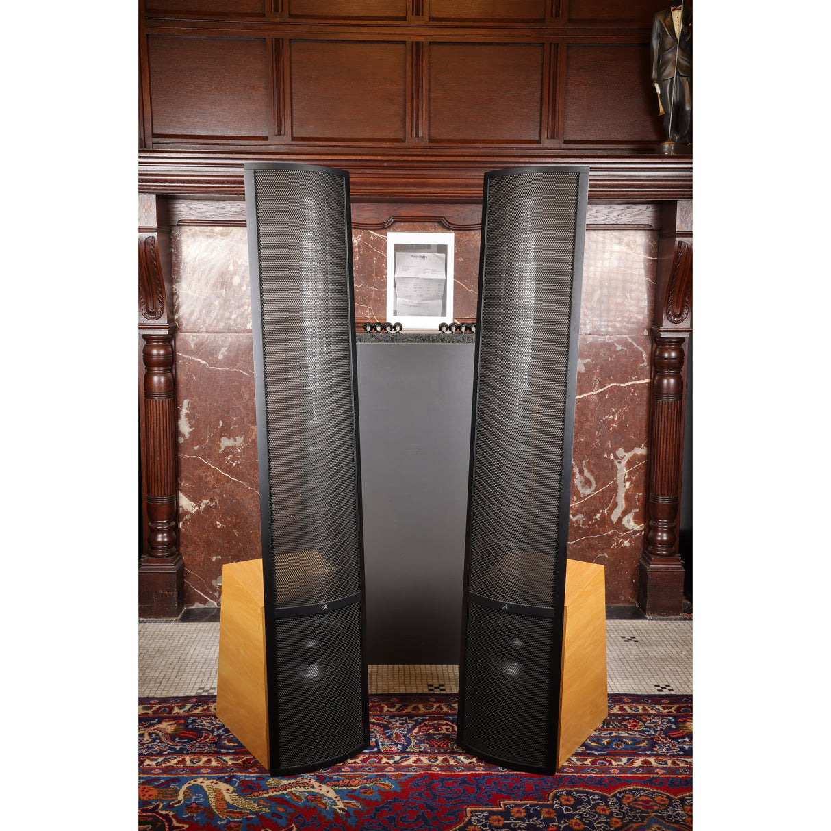 MartinLogan ESL Vantage mit erneuerten Statoren Elektrostatischer Lautsprecher (Gebraucht)