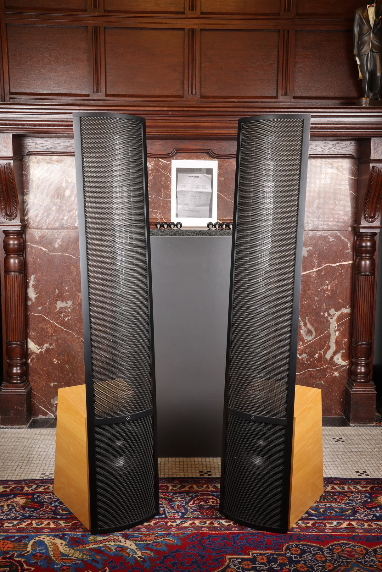 MartinLogan ESL Vantage mit erneuerten Statoren Elektrostatischer Lautsprecher (Gebraucht)
