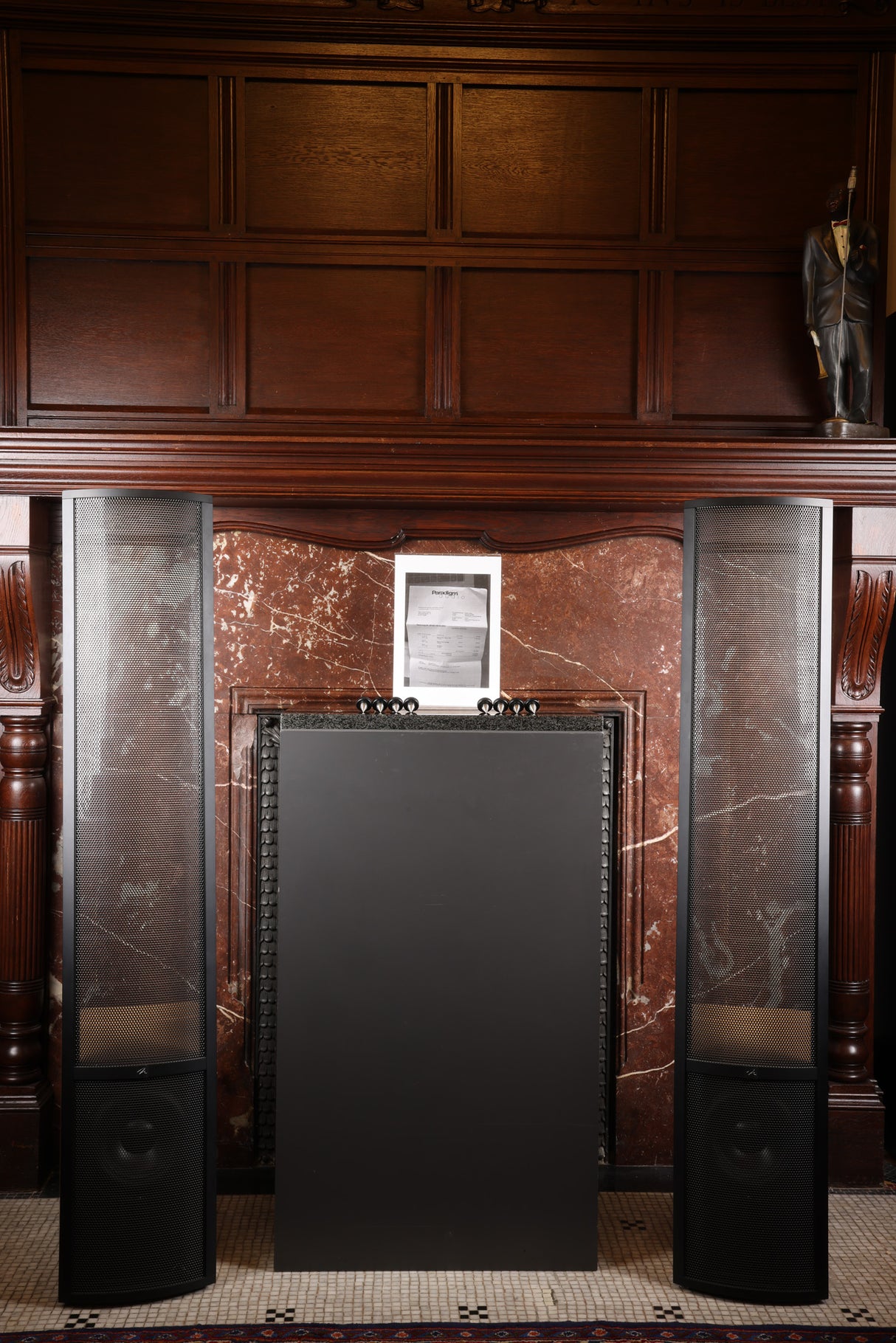 MartinLogan ESL Vantage mit erneuerten Statoren Elektrostatischer Lautsprecher (Gebraucht)