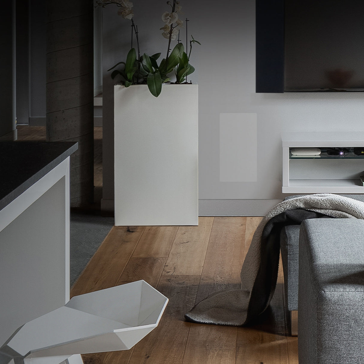 Paradigm DCS 208-FR3 Einbau-Subwoofer