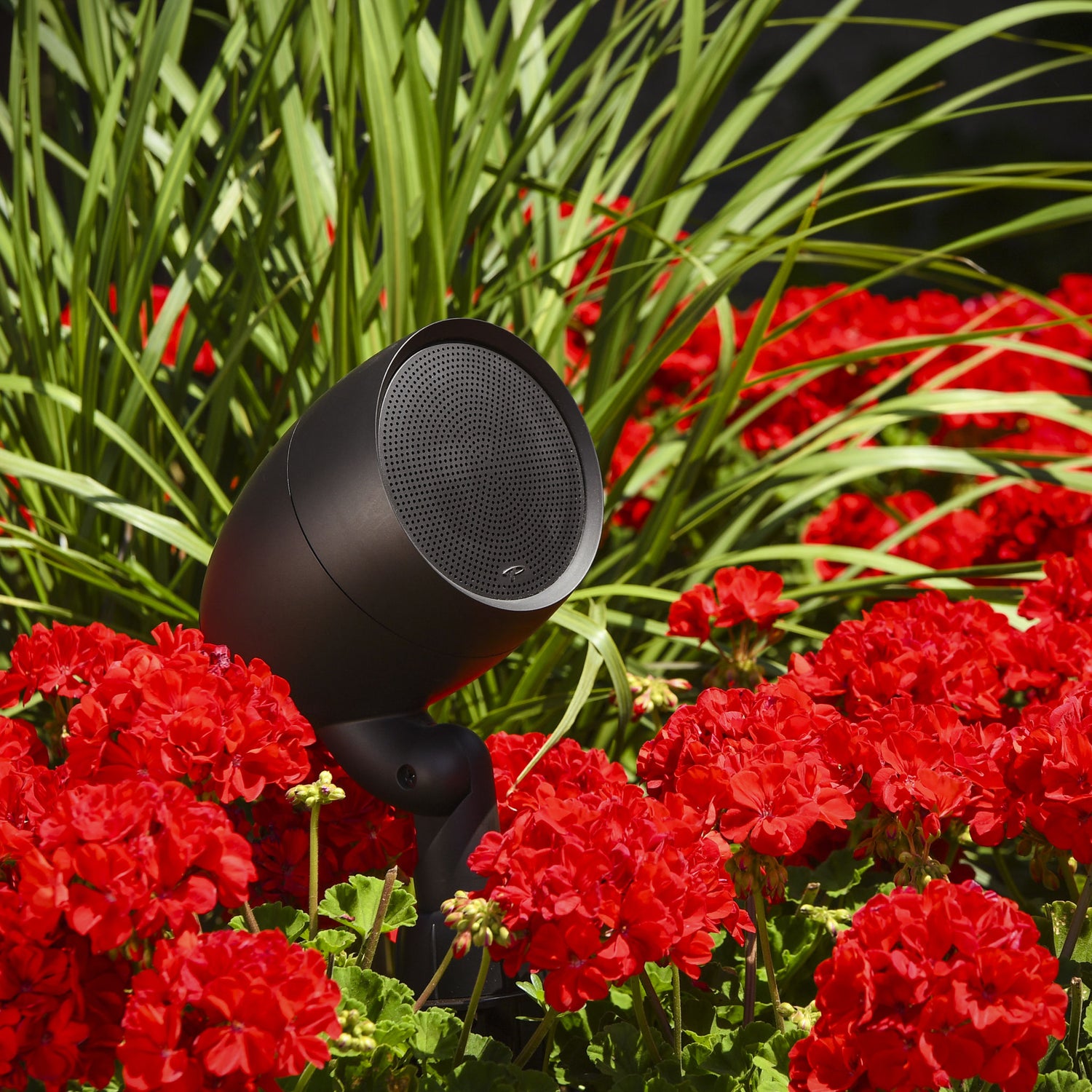 Paradigm GO4 Speaker Outdoor-Lautsprecher