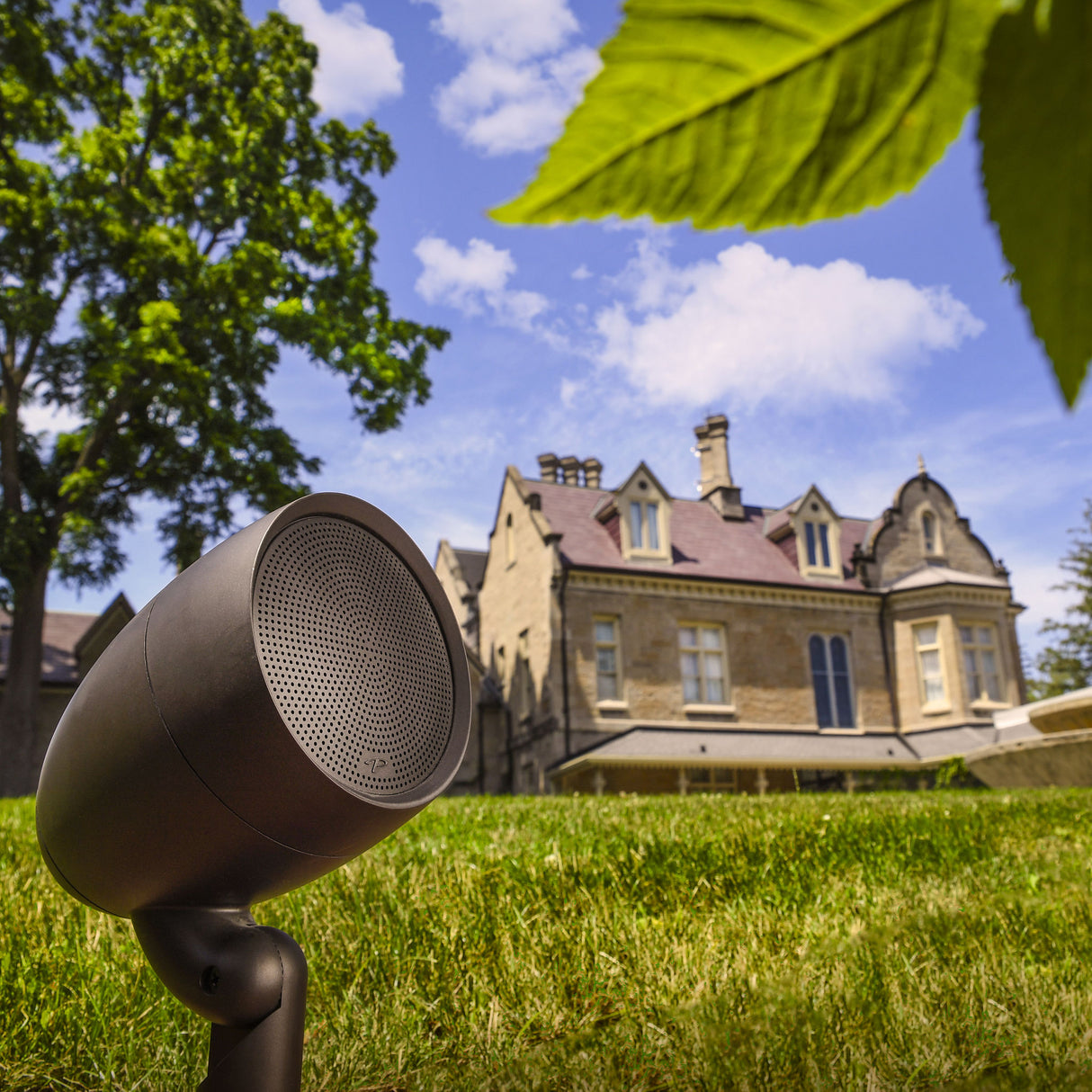 Paradigm GO4 Speaker Outdoor-Lautsprecher