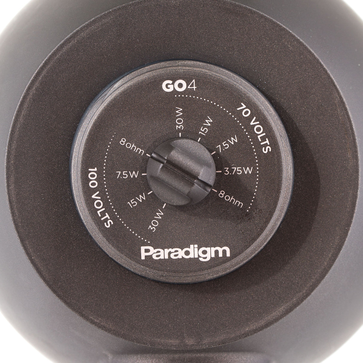 Paradigm GO4 Speaker Outdoor-Lautsprecher