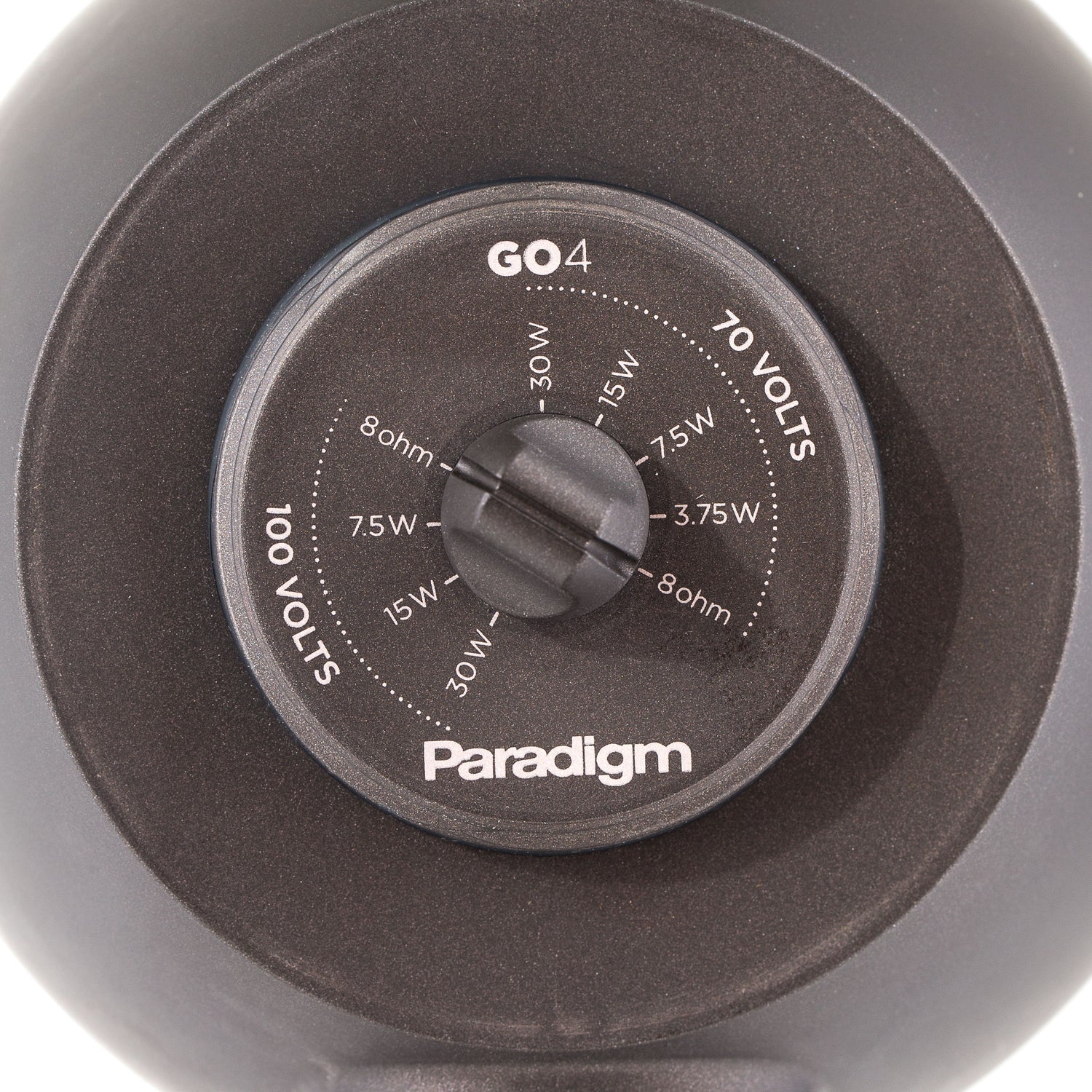Paradigm GO4 Speaker Outdoor-Lautsprecher