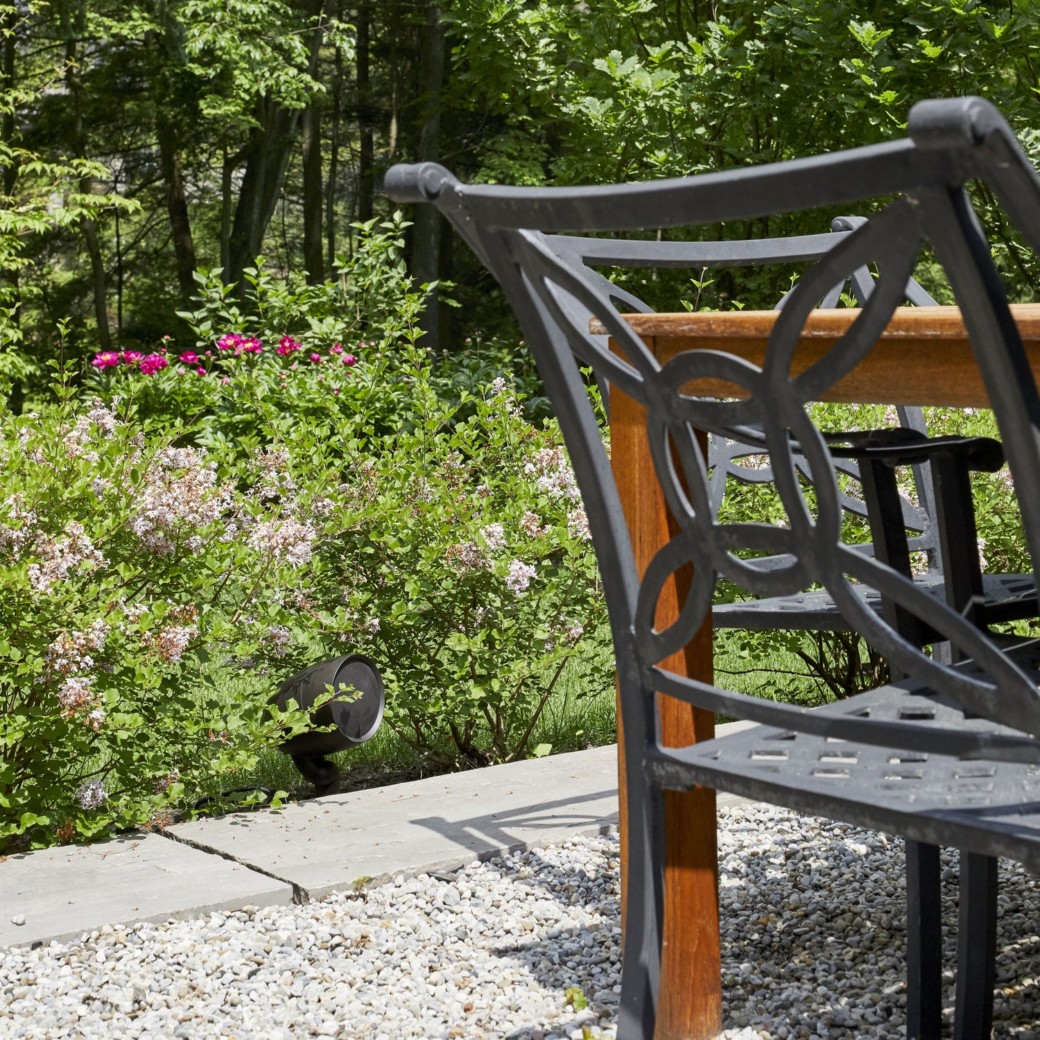 Paradigm GO6 Speaker Outdoor-Lautsprecher