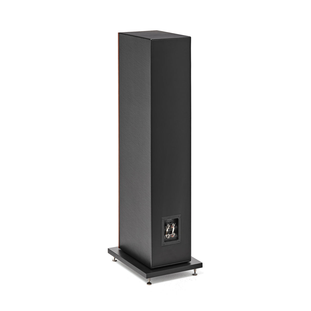 Sonus faber Lumina V Standlautsprecher