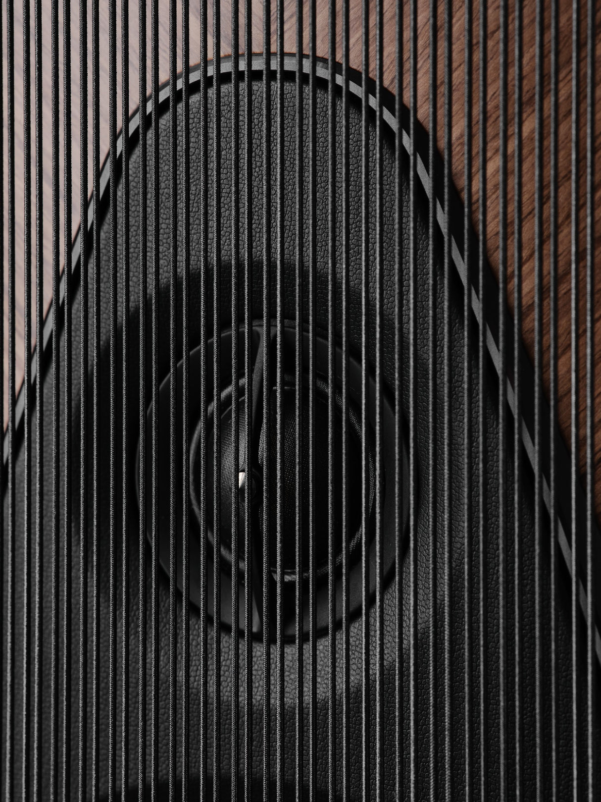 Sonus Faber Olympica V G3 Standlautsprecher