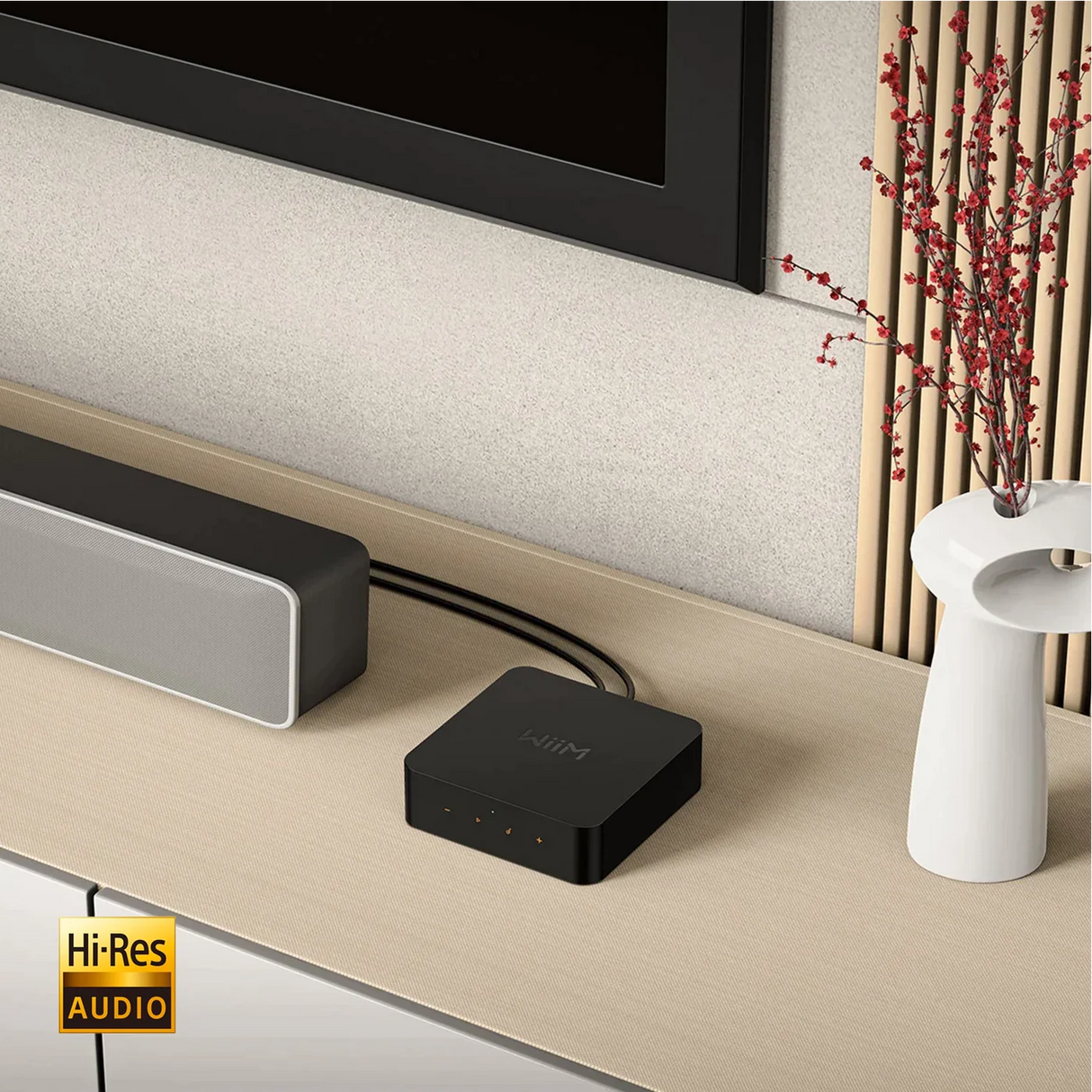 WiiM Pro Audio-Streamer