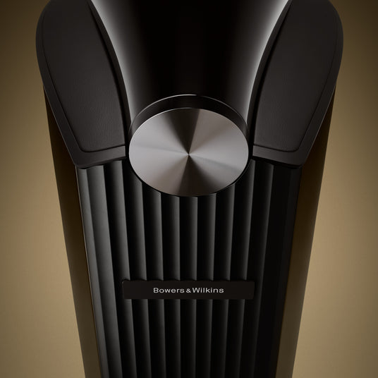 Bowers & Wilkins 801 D5 Standlautsprecher in Black