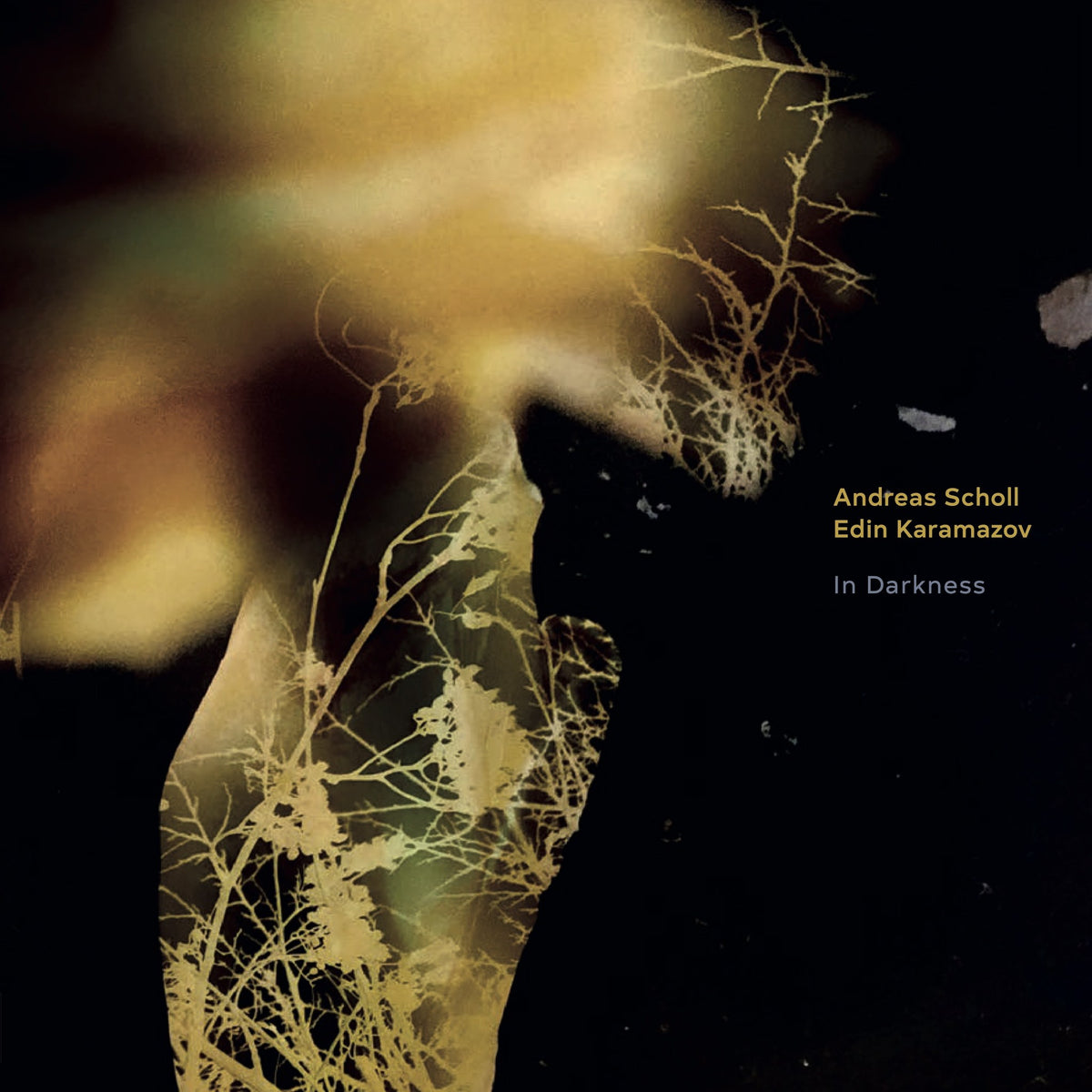 Andreas Scholl & Edin Karamazov - In Darkness (140g 45rpm)