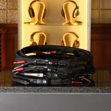 AudioQuest Dragon ZERO + Dragon BASS – Referenz Lautsprecherkabel-Set 3 m (Vorführware)