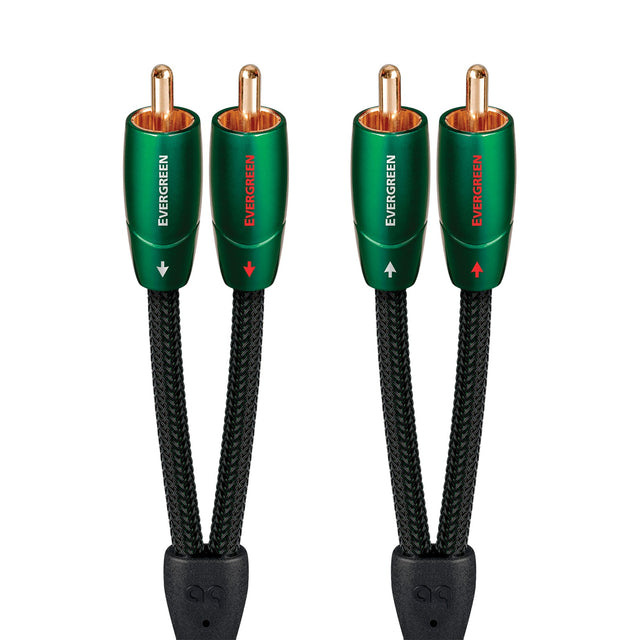 AudioQuest Evergreen Cinchkabel