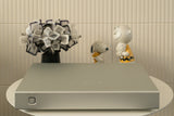 Aurender NH10 Netzwerk-Switch