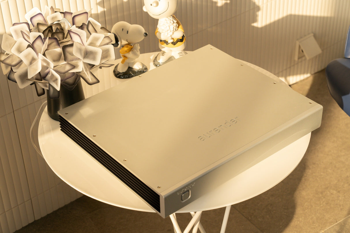 Aurender NH10 Netzwerk-Switch