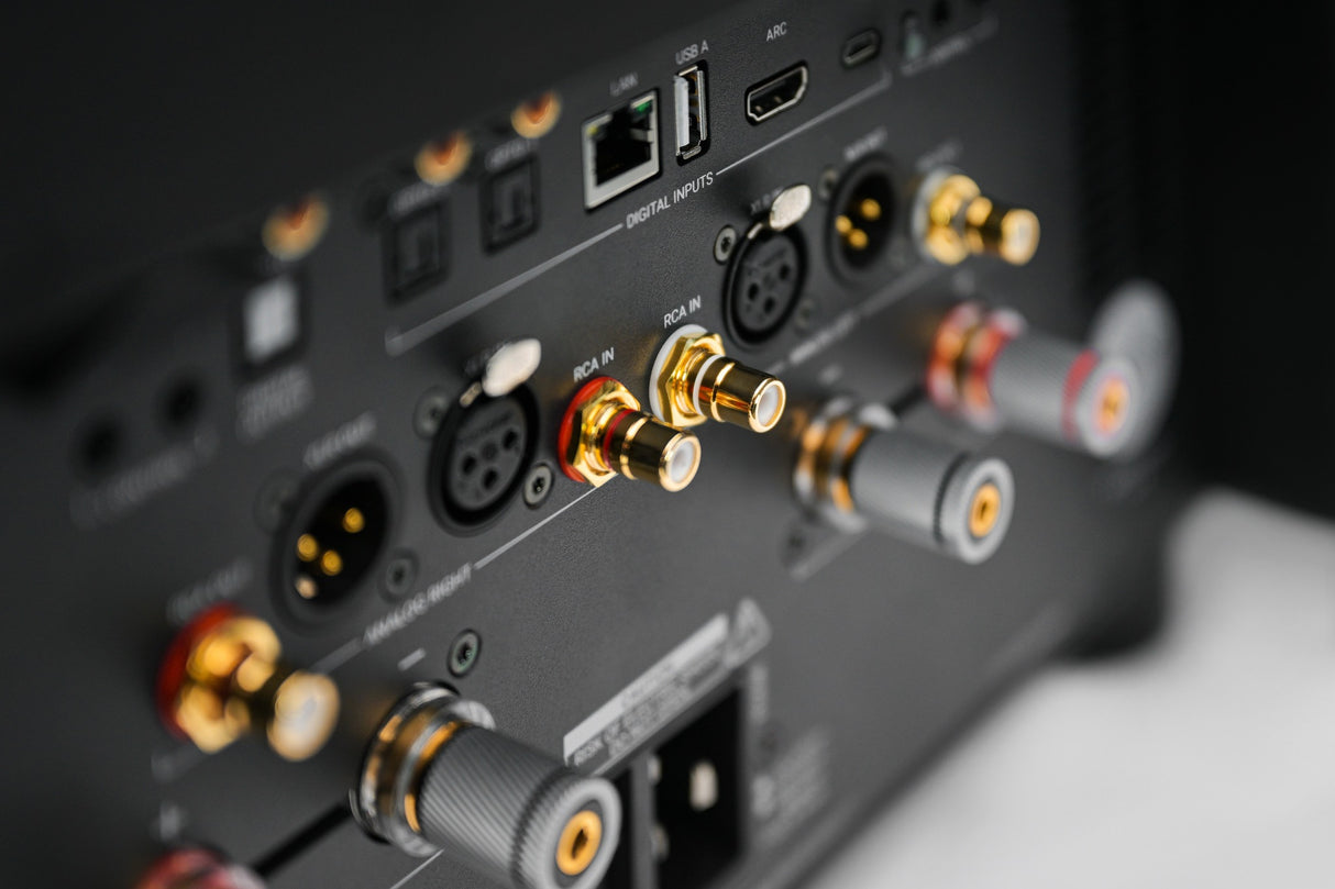 AVM Ovation AS XL