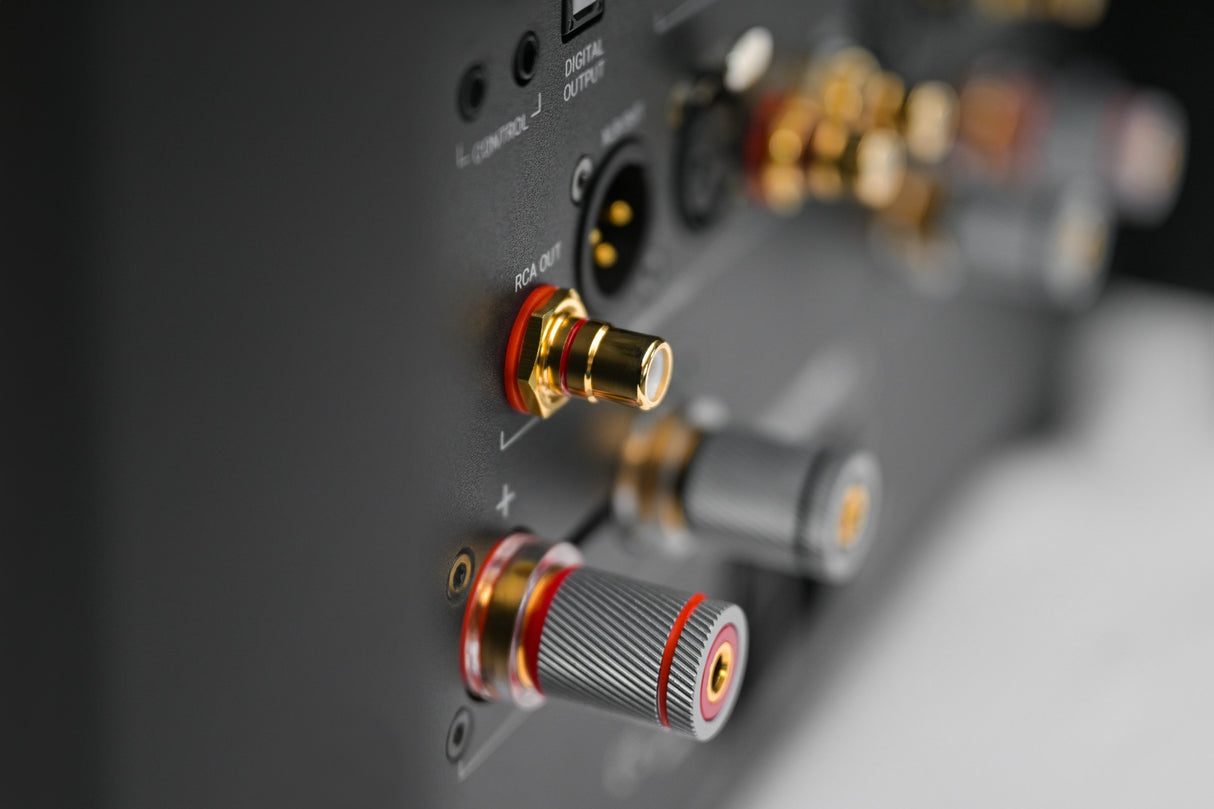 AVM Ovation AS XL