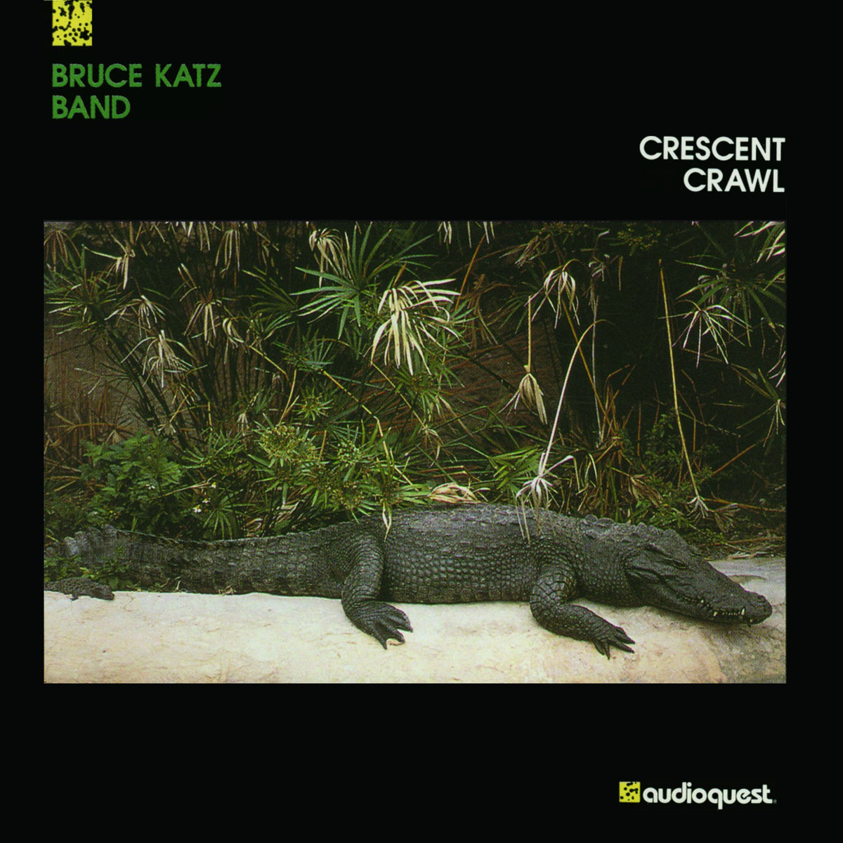 Bruce Katz Band - Crescent Crawl (180g 33rpm)