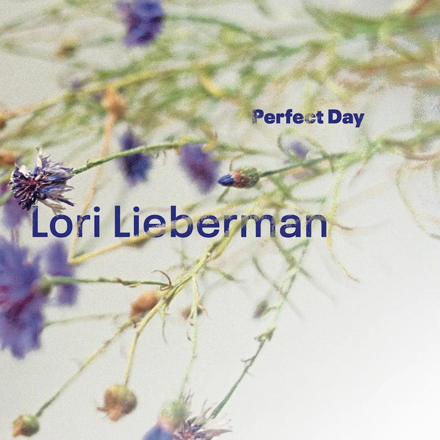 Lori Lieberman - Perfect Day (180g 45rpm)