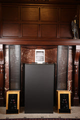 MartinLogan ESL Vantage mit erneuerten Statoren Elektrostatischer Lautsprecher (Gebraucht)