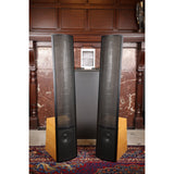 MartinLogan ESL Vantage mit erneuerten Statoren Elektrostatischer Lautsprecher (Gebraucht)