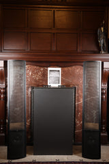 MartinLogan ESL Vantage mit erneuerten Statoren Elektrostatischer Lautsprecher (Gebraucht)