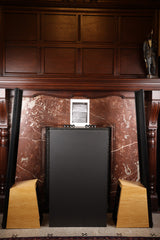 MartinLogan ESL Vantage mit erneuerten Statoren Elektrostatischer Lautsprecher (Gebraucht)