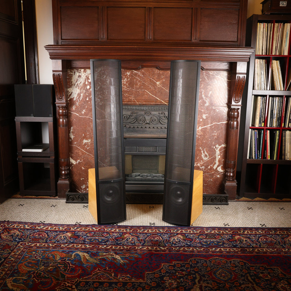 MartinLogan ESL Vantage mit erneuerten Statoren Elektrostatischer Lautsprecher (Gebraucht)