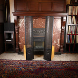 MartinLogan ESL Vantage mit erneuerten Statoren Elektrostatischer Lautsprecher (Gebraucht)