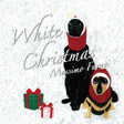 Massimo Faraò - White Christmas (180g 33rpm)