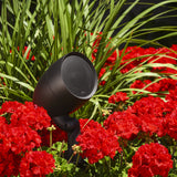 Paradigm GO4 Speaker Outdoor-Lautsprecher