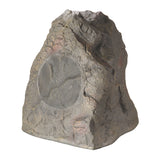 Paradigm Rock Monitor 80 SM Speaker Outdoor-Lautsprecher