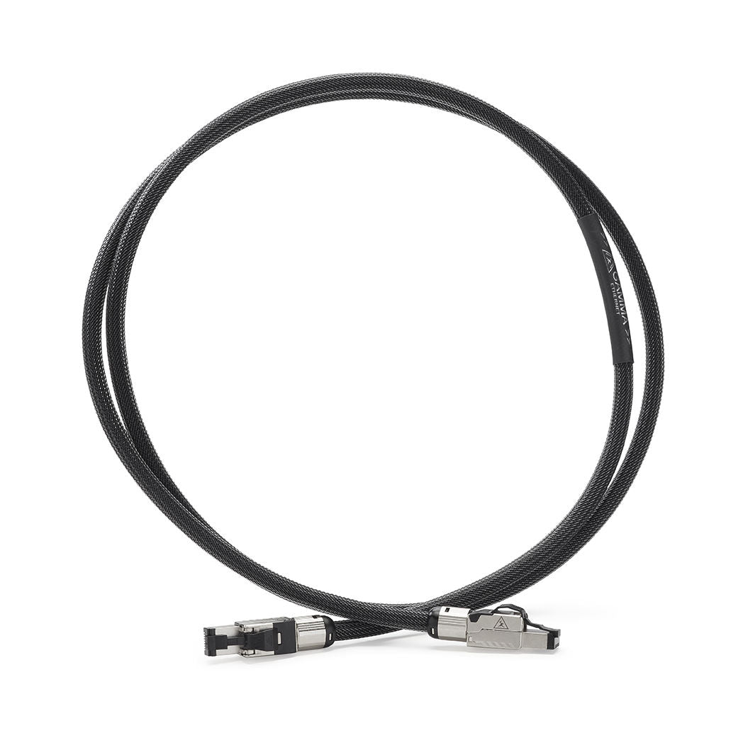 Shunyata Research Gamma Ethernet Netzwerkkabel