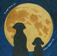 Vladimir Shafranov Trio - Moonlight Becomes You (180g 33rpm)