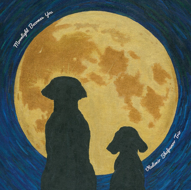 Vladimir Shafranov Trio - Moonlight Becomes You (180g 33rpm)