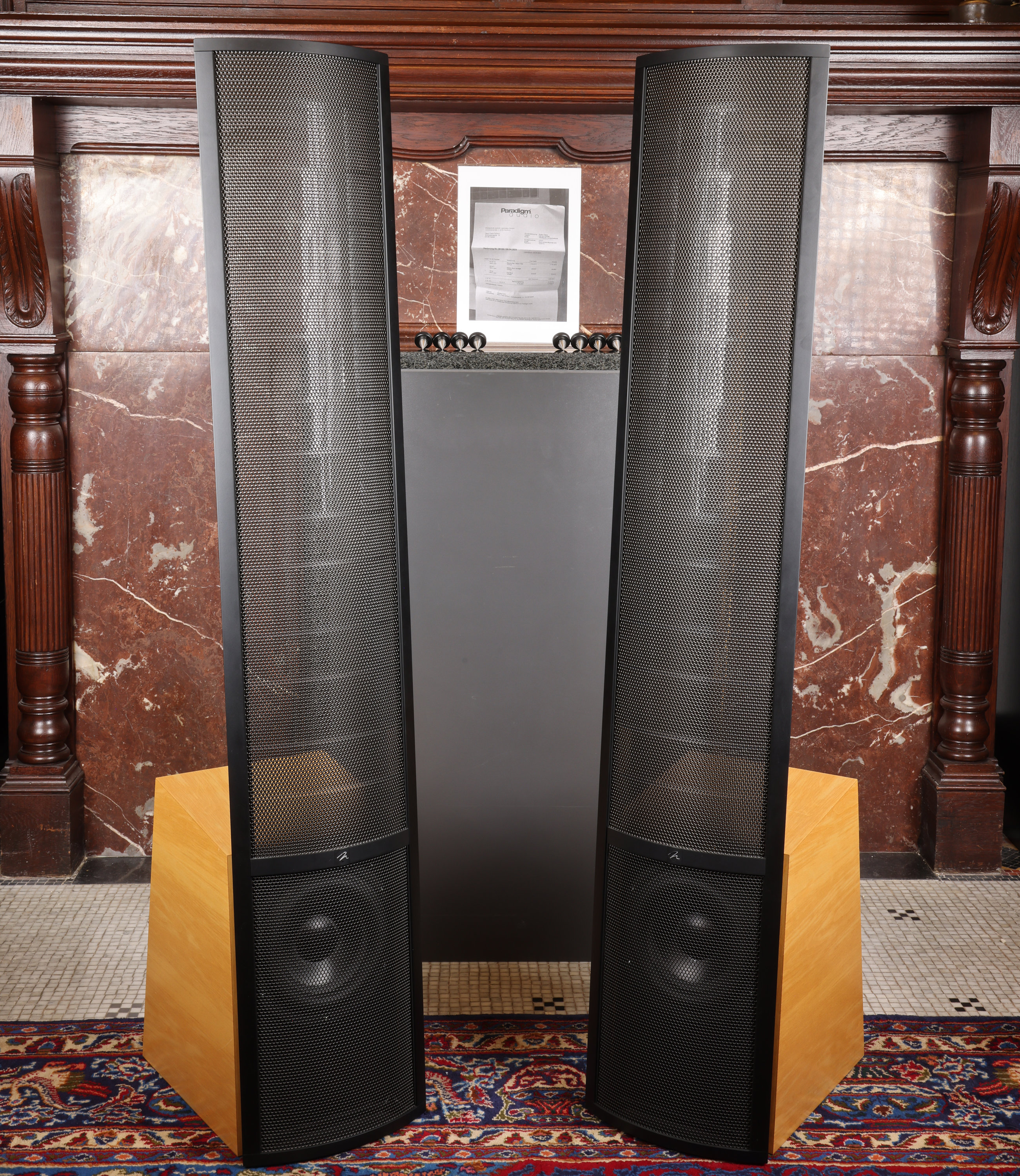 Martin Logan ESL Vantage - Elektrostatische Standlautsprecher - 2024 Statoren erneuert (gebraucht)