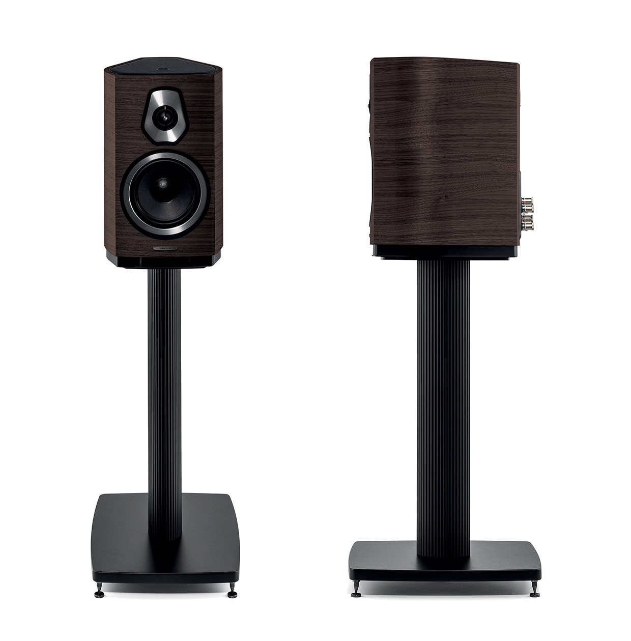 Sonus Faber - Sonetto II